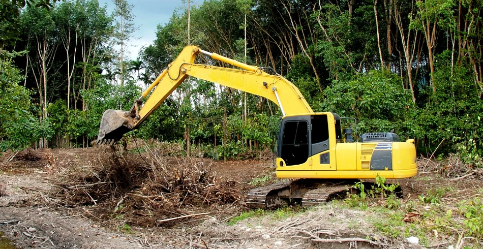 land clearing land clearing